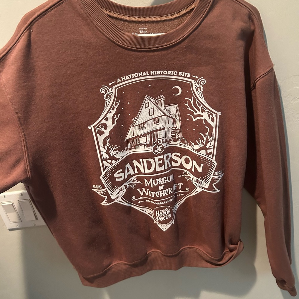 Brown Hocus Pocus sweater